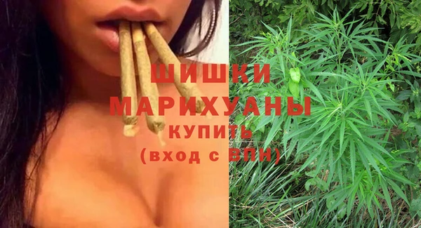 ПСИЛОЦИБИНОВЫЕ ГРИБЫ Медногорск