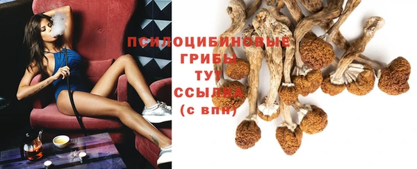 MDMA Premium VHQ Михайловск