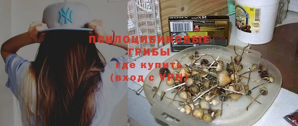 мяу мяу мука Мегион
