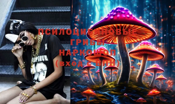 мяу мяу мука Мегион