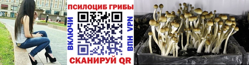 Галлюциногенные грибы мухоморы  Нижние Серги 